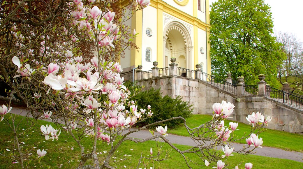 Marianske Lazne caracterizando uma igreja ou catedral, flores e um jardim