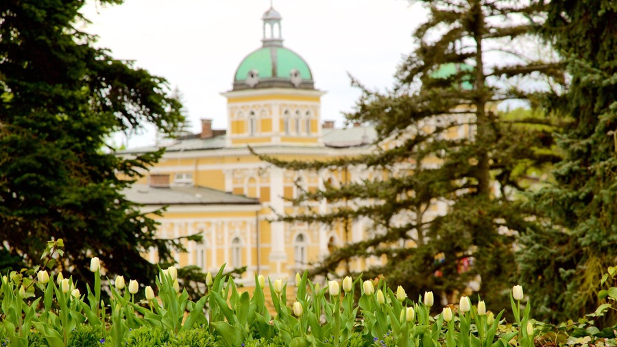Marianske Lazne ofreciendo flores