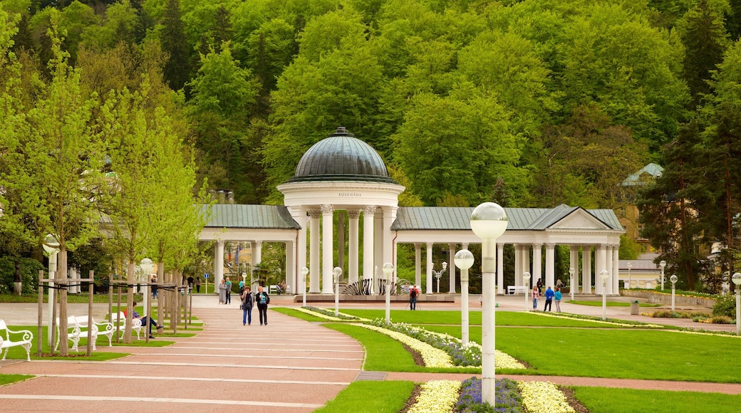 Marianske Lazne featuring a garden and a fountain