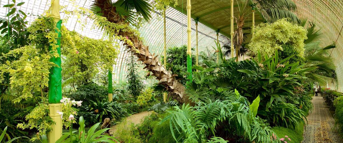 Lednice ofreciendo un jardín