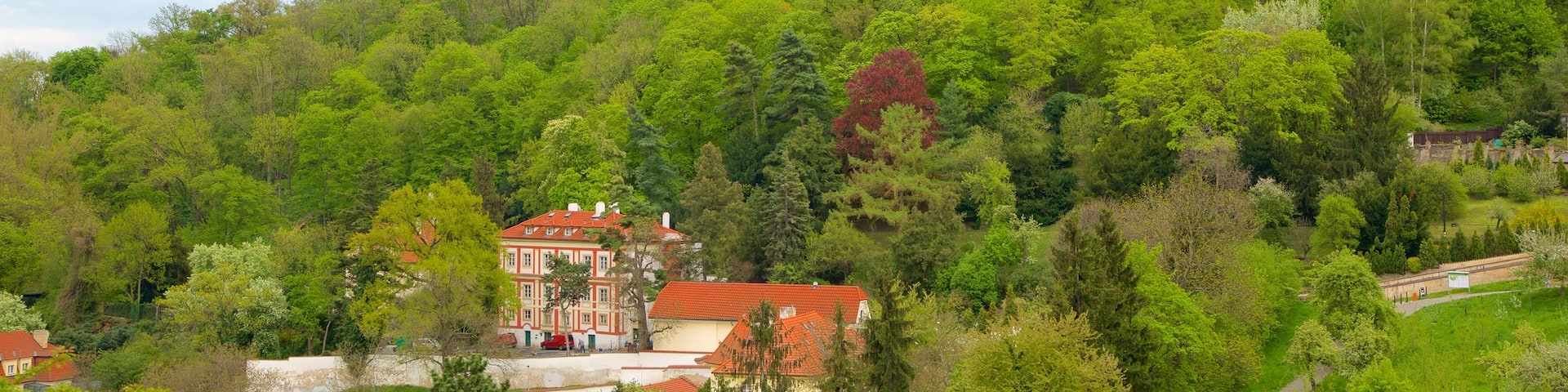 Petrin Lookout Tower showing forests