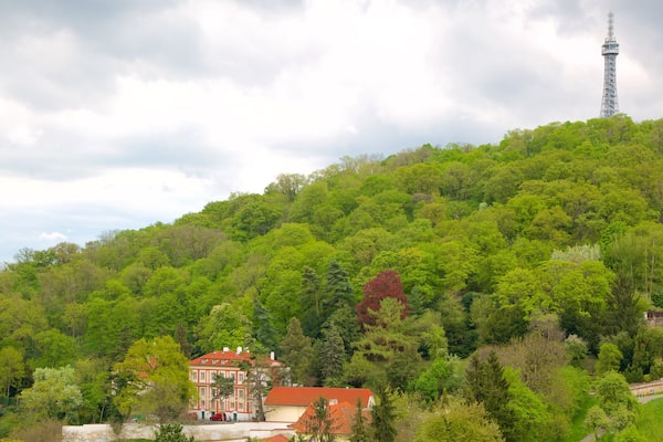 Petrin Lookout Tower featuring forests