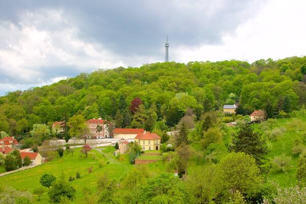 Aussichtsturm Petřín welches beinhaltet Wälder und Kleinstadt oder Dorf
