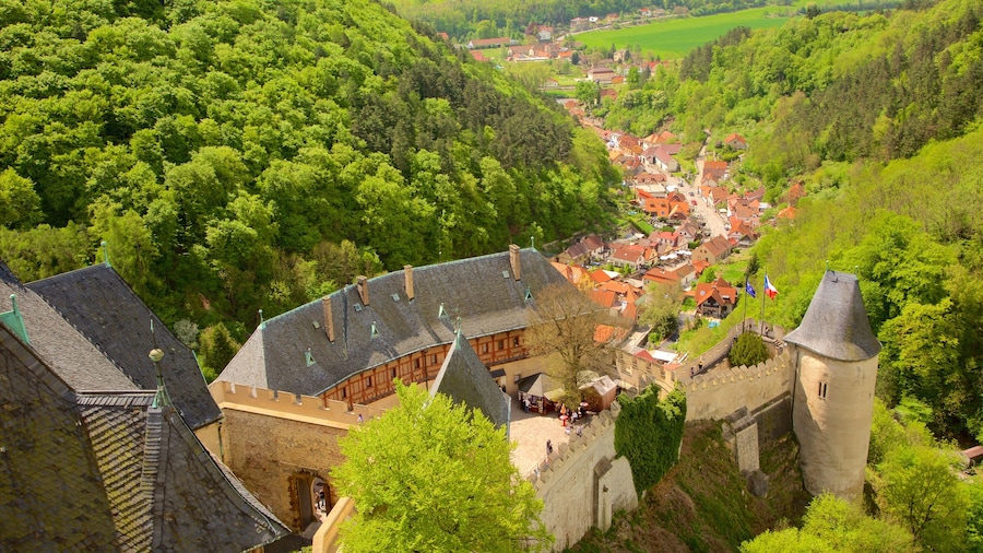 Karlstejn Castle showing forest scenes, a castle and a small town or village