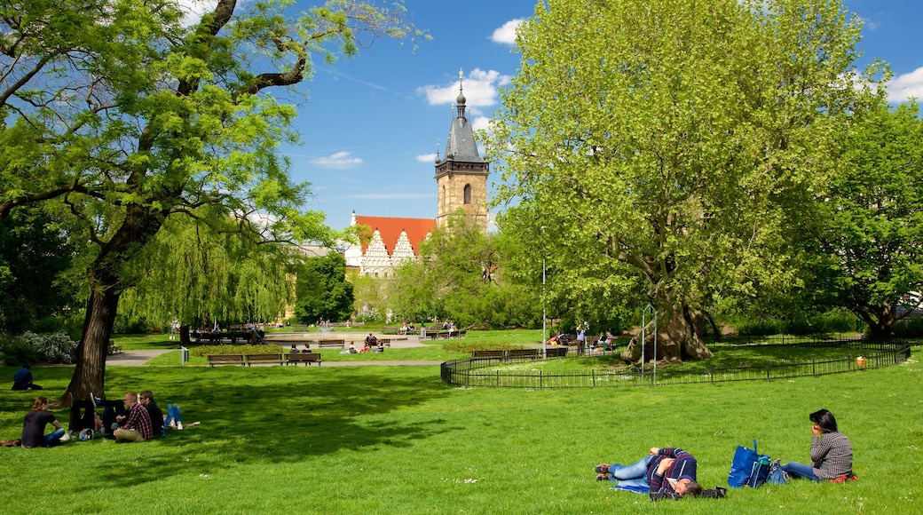 Charles Square featuring a park