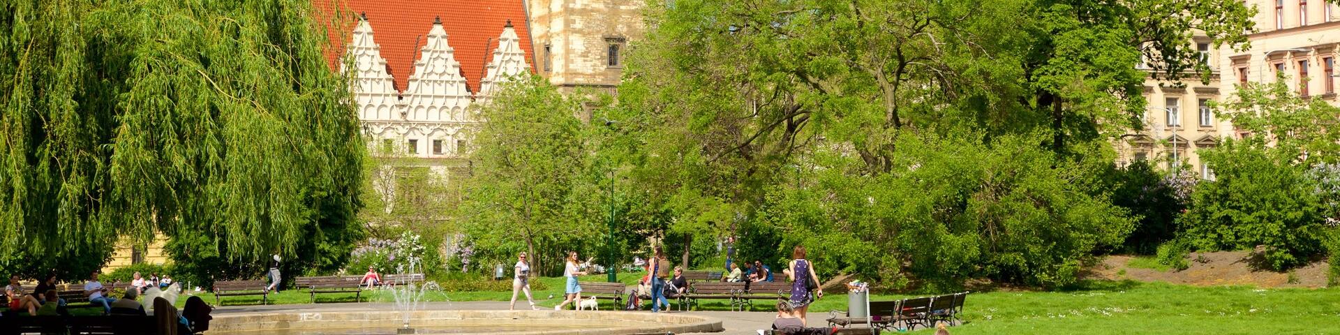 Charles Square featuring a park