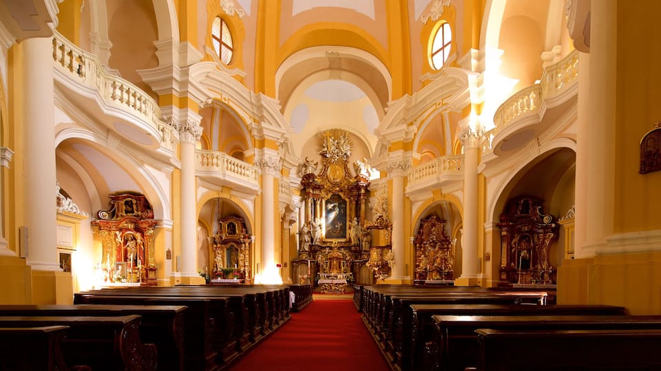 Church of St. Mary Magdalene showing a church or cathedral, interior views and heritage elements
