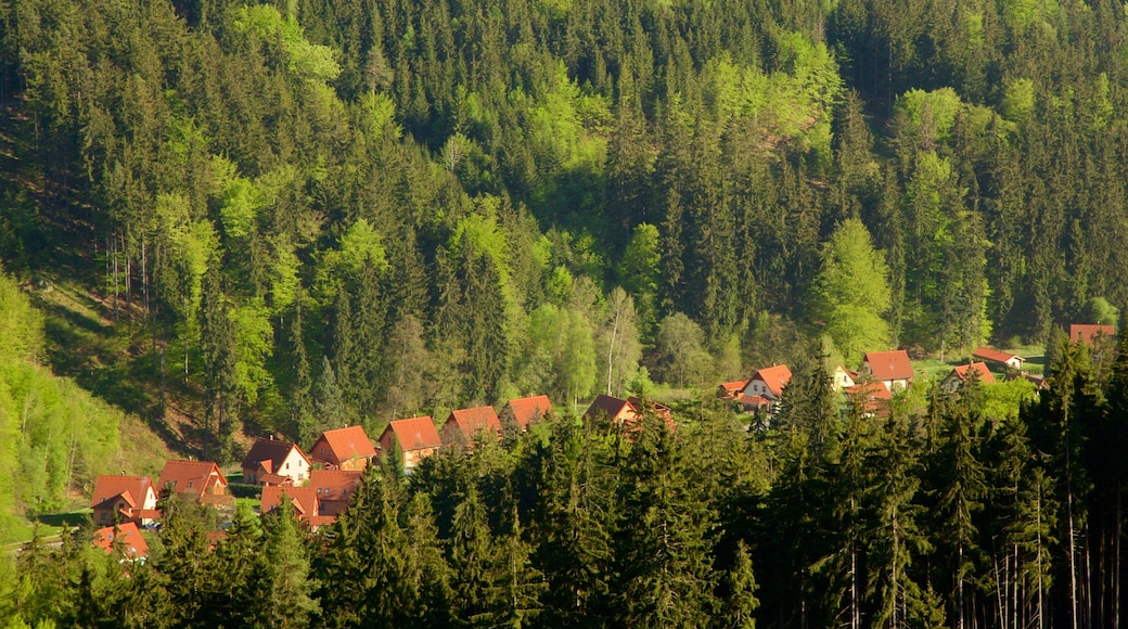 Atalaya Diana mostrando paisajes forestales y un pueblo