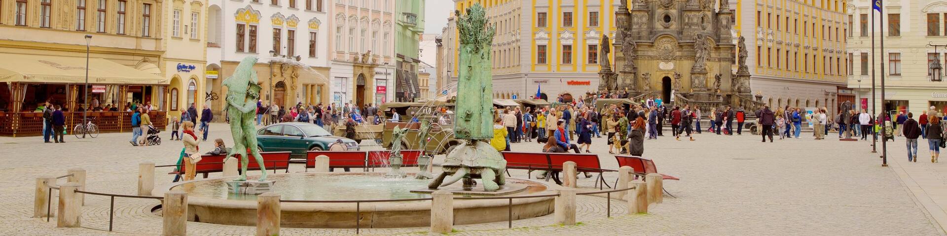 Holy Trinity Column which includes a square or plaza, a city and heritage elements