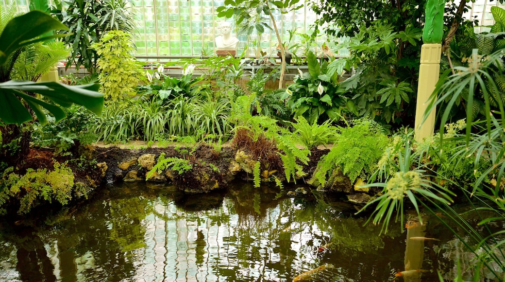 Schloss Lednice welches beinhaltet Garten