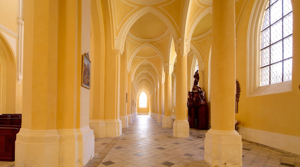 Iglesia de la Asunción de Nuestra Señora y San Juan Bautista que incluye elementos patrimoniales, vista interna y arquitectura patrimonial