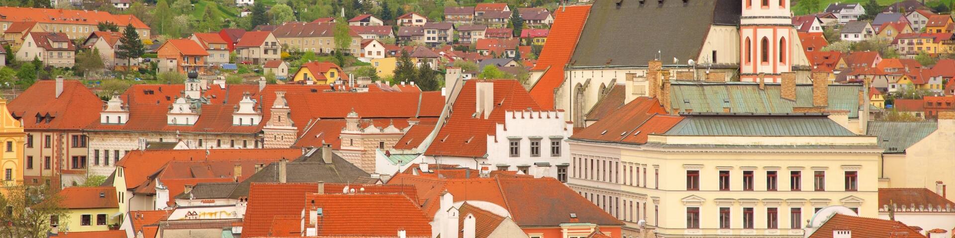 Church of St. Vitus showing a city