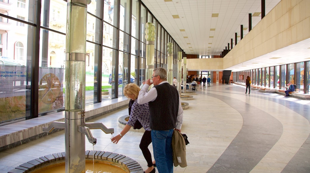 Karlovy Vary showing interior views as well as a couple