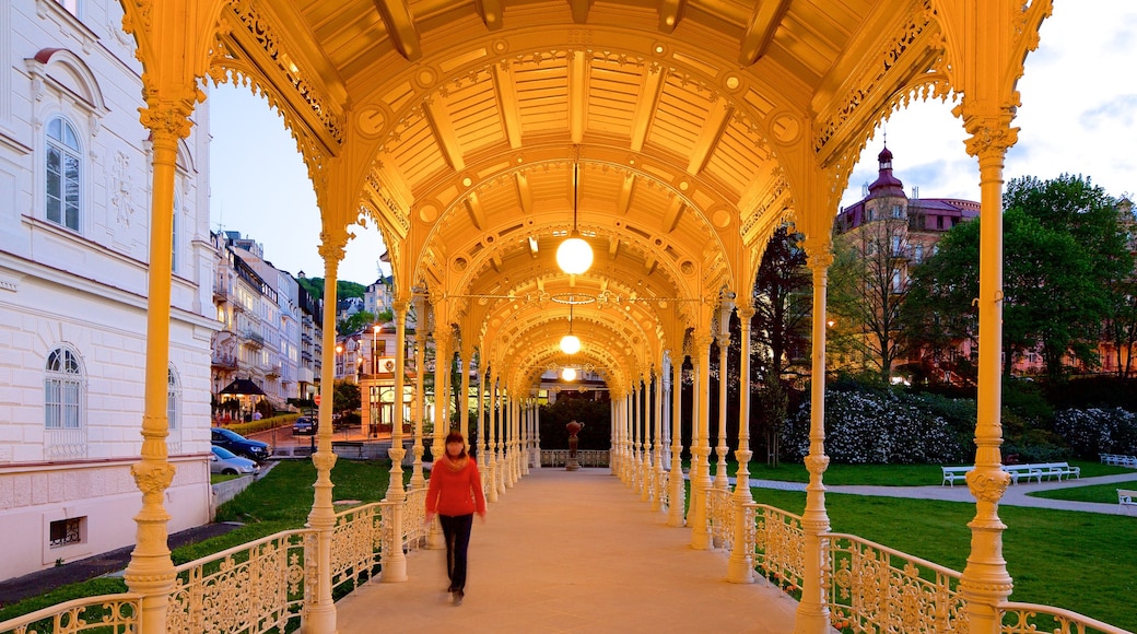 Karlovy Vary showing a garden and heritage elements