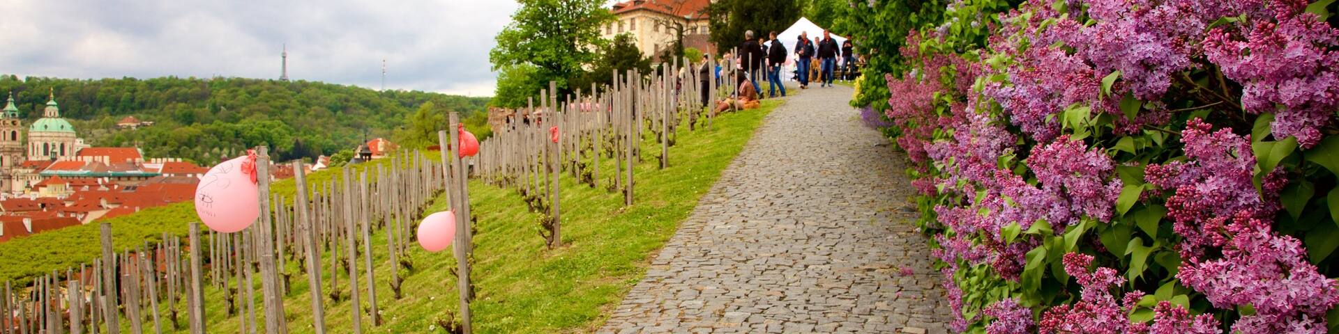 Prag mit einem Blumen