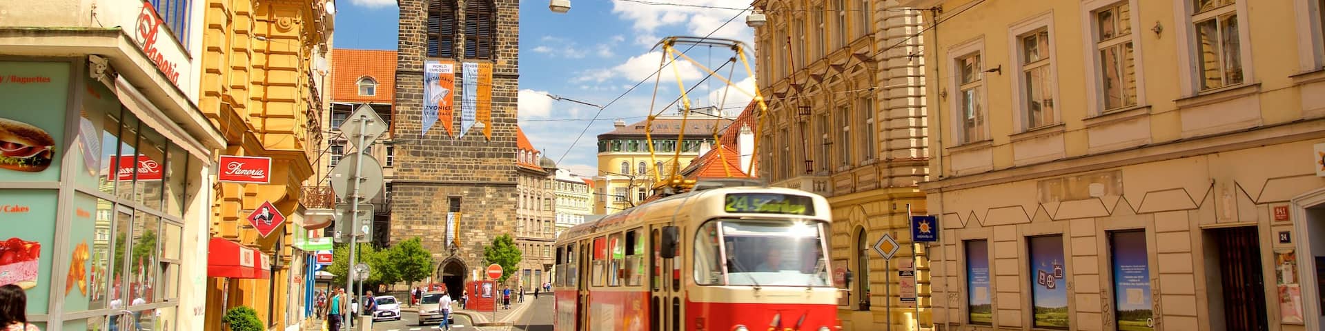 Nove Mesto showing heritage elements, a city and railway items