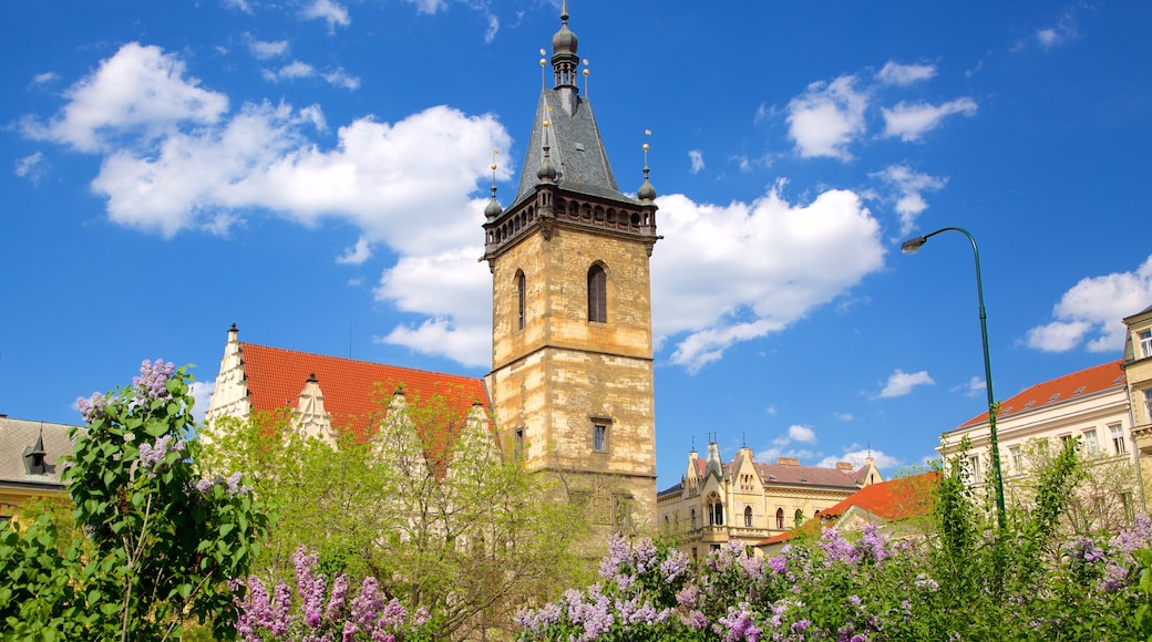 Prague featuring heritage elements and flowers