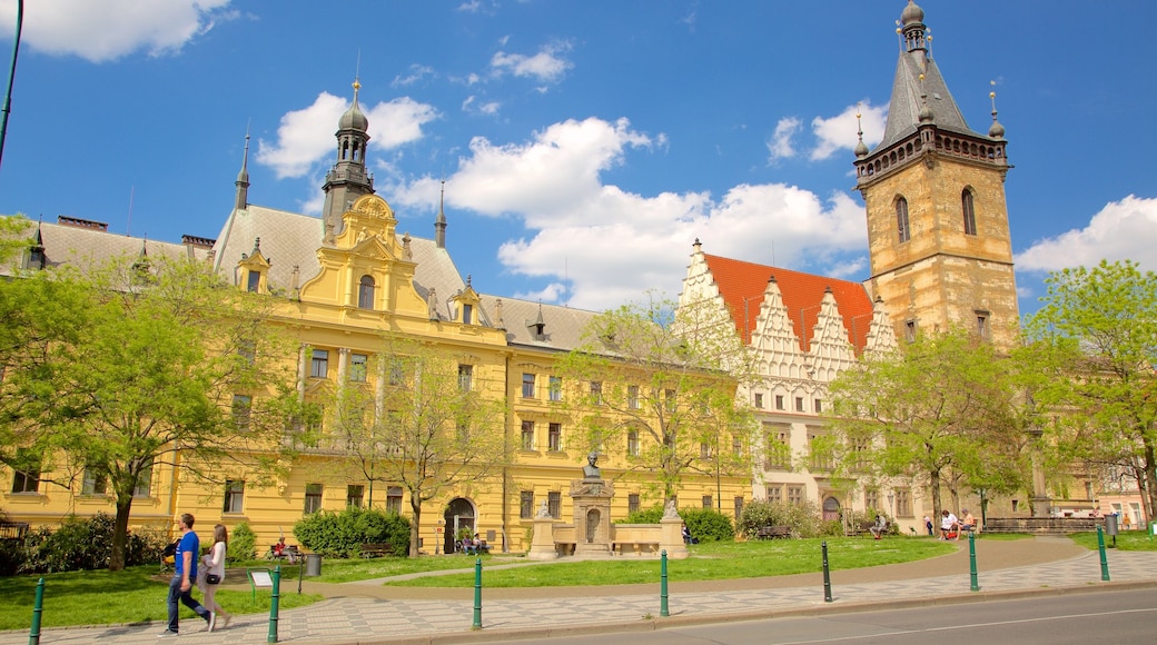 Prague featuring a city and a garden