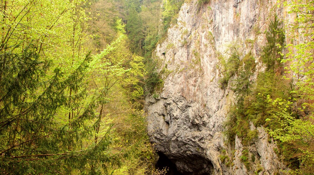 South Moravian showing tranquil scenes and caves