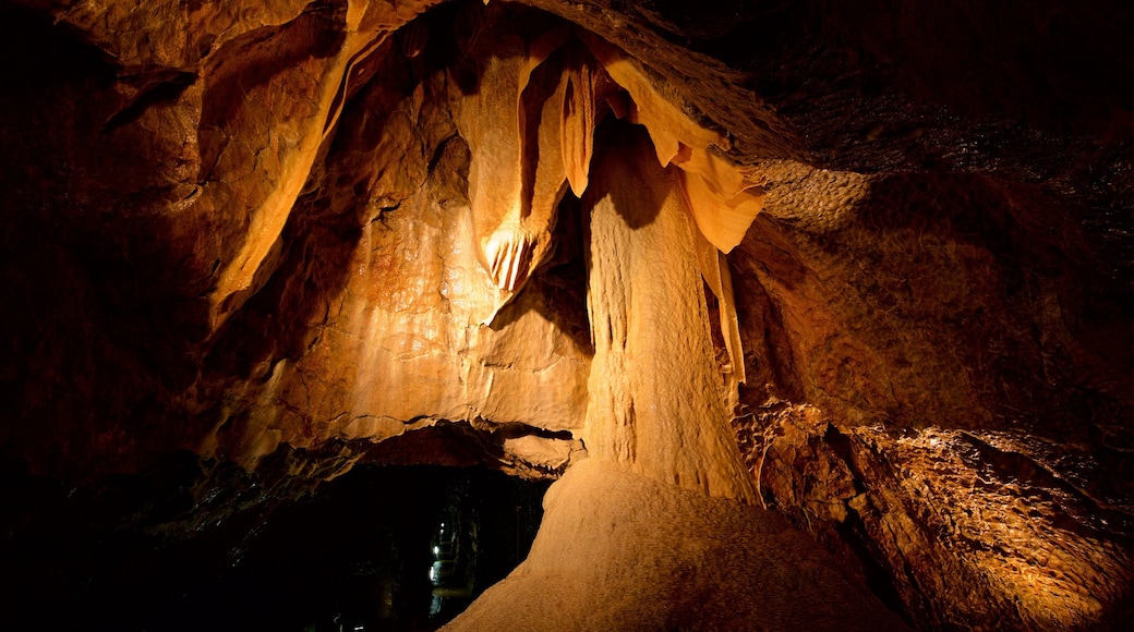 South Moravian showing caves