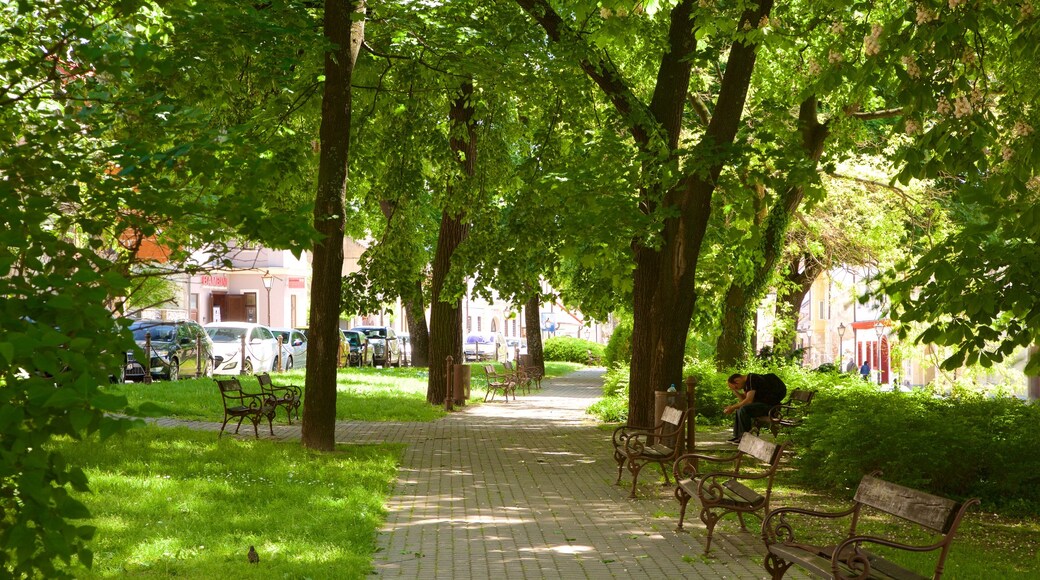 Trnava which includes a garden