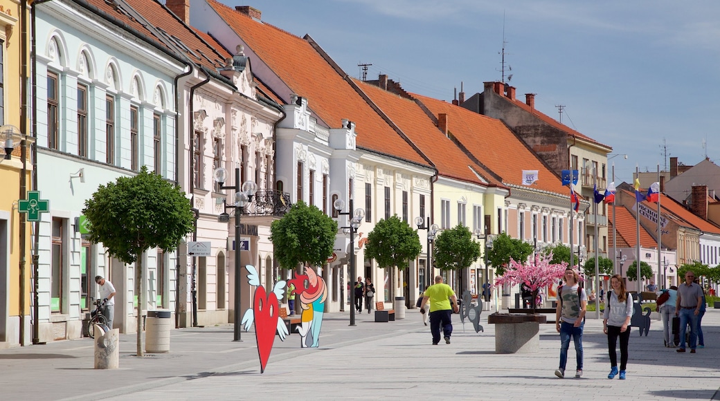 Trnava ofreciendo imágenes de calles y arte al aire libre y también un pequeño grupo de personas