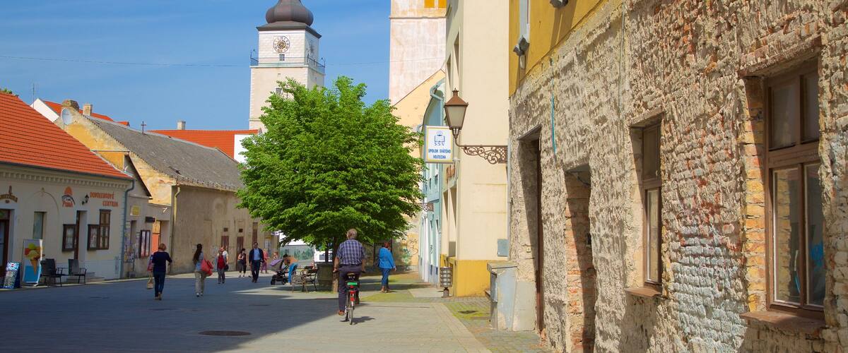 Trnava qui includes scĂšnes de rue et ville