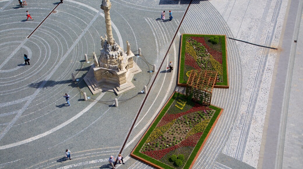 Trnava showing a square or plaza