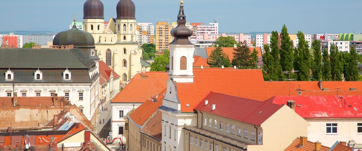 Trnava St. John the Baptist Cathedral showing a city