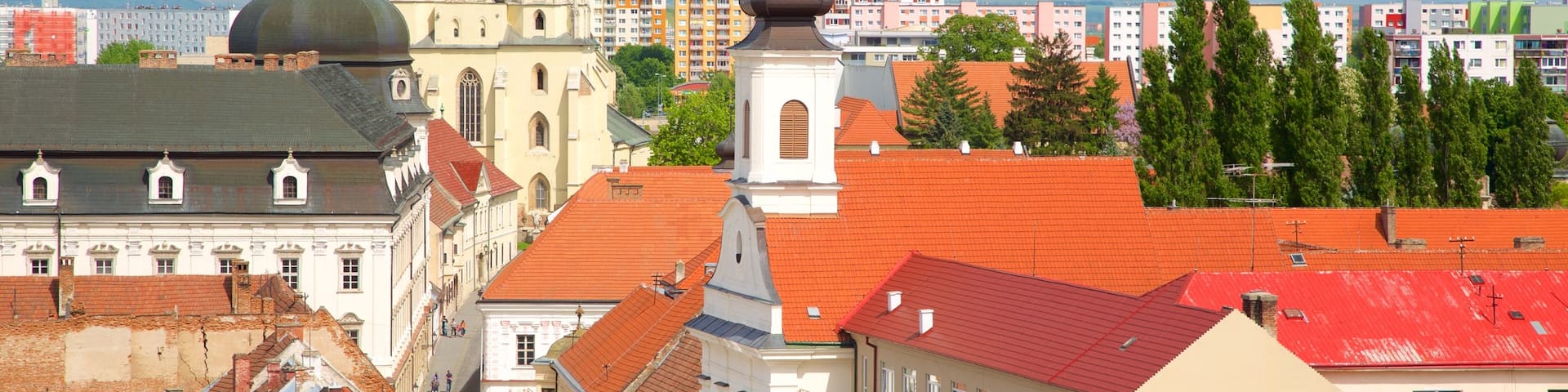 Trnava St. John the Baptist Cathedral featuring a city