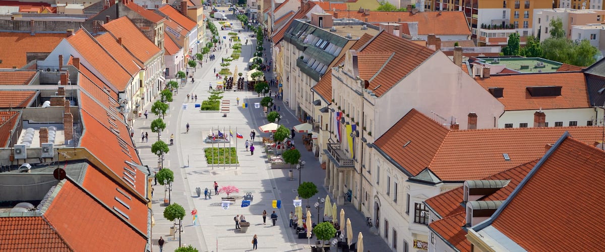 Trnava which includes a square or plaza, street scenes and a city