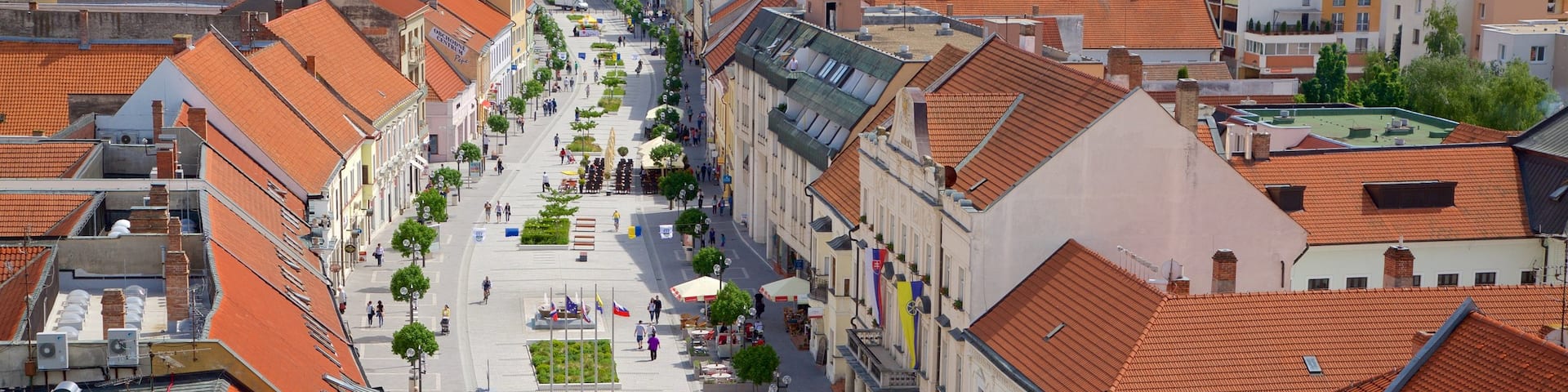 Trnava which includes a square or plaza, street scenes and a city