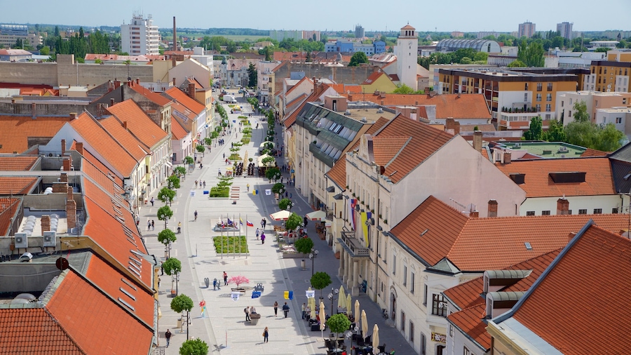 Trnava inclusief straten, een plein en een stad