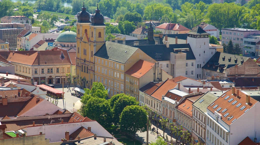 Trencin showing a city