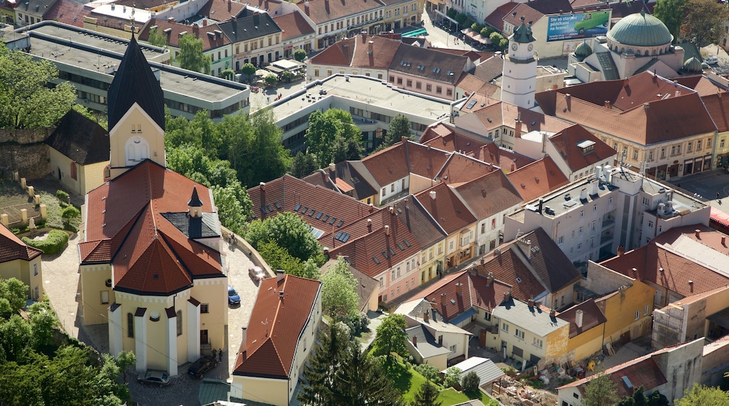 Trencin featuring a city