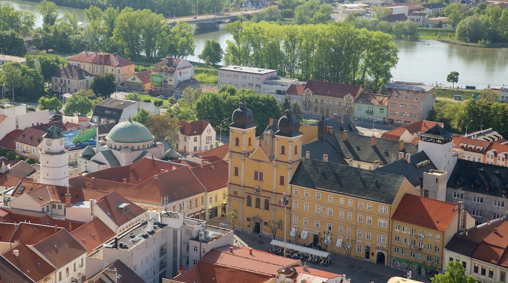 Trencin showing a city