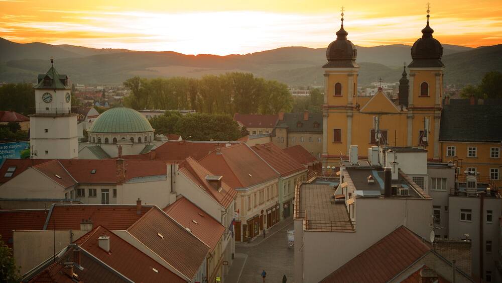 Trencin showing a city and a sunset