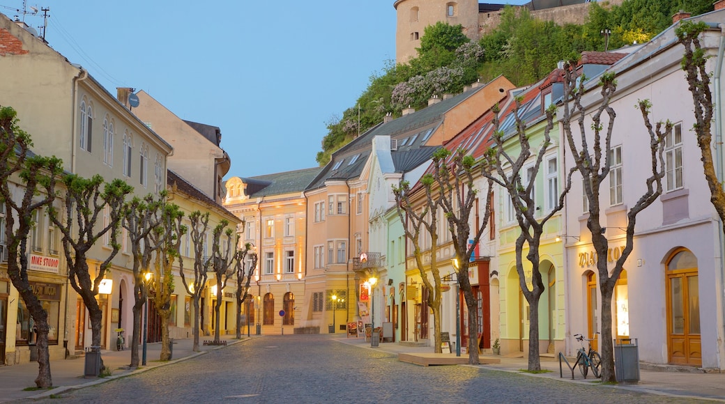 Trencin mettant en vedette scènes de rue