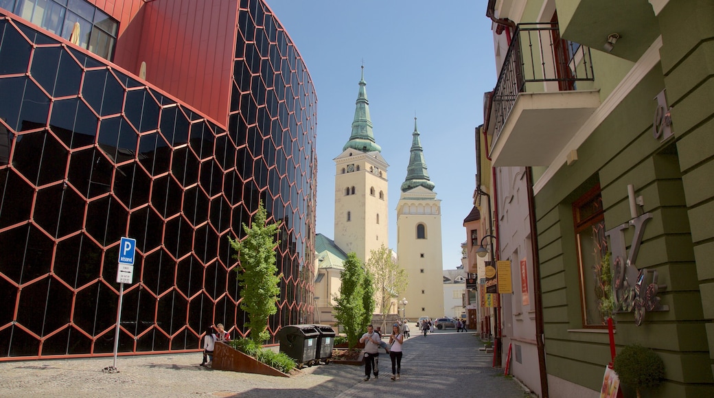 Zilina featuring a city and modern architecture