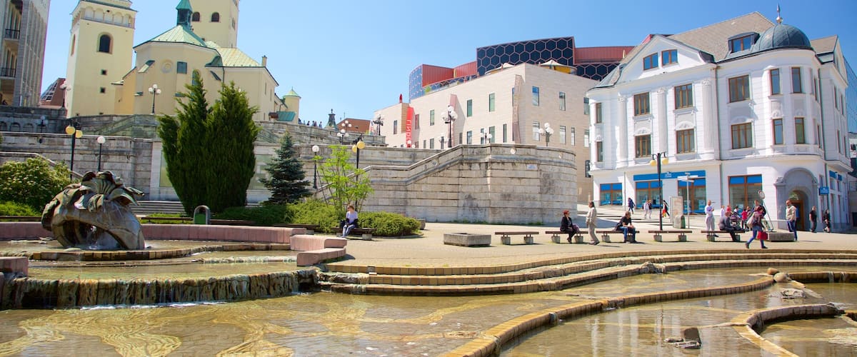 Zilina ofreciendo un parque o plaza, una ciudad y una fuente