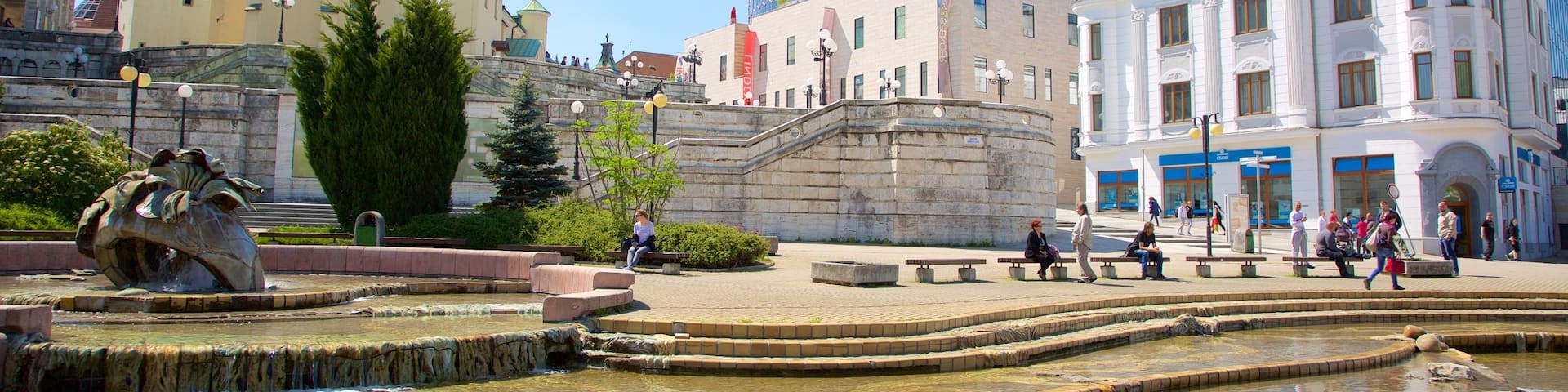 Zilina showing a fountain, a city and a square or plaza