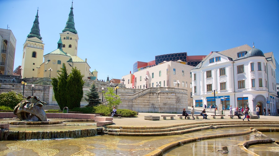 Zilina featuring a city, a fountain and a square or plaza