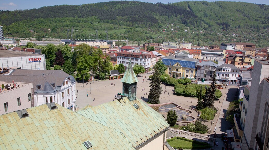Zilina qui includes ville et square ou place