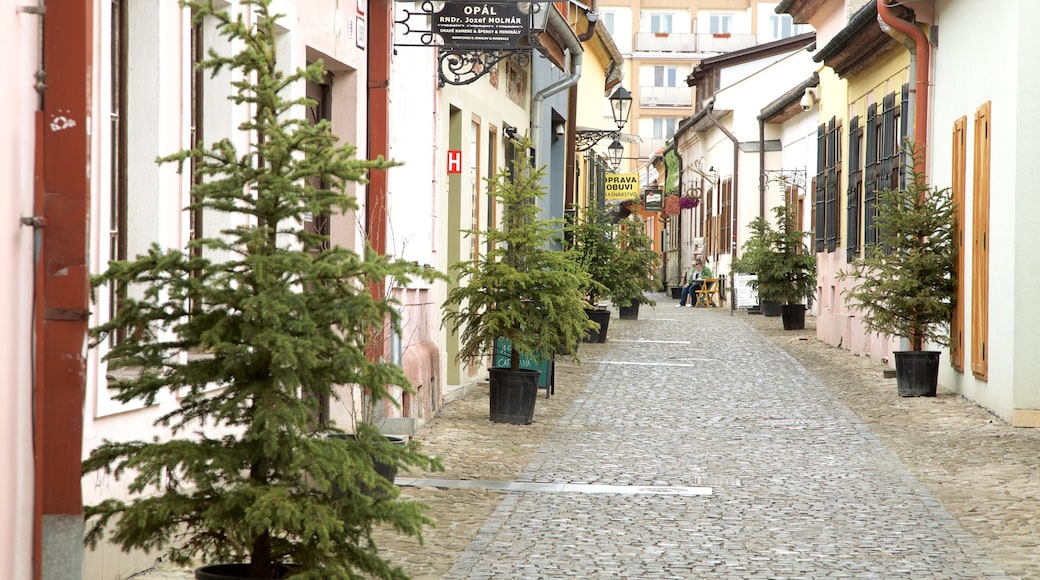 Košice que incluye una ciudad y imágenes de calles