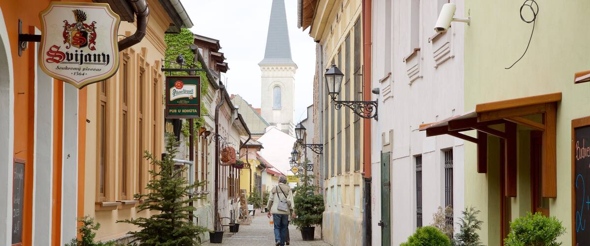 Kosice featuring a small town or village and street scenes