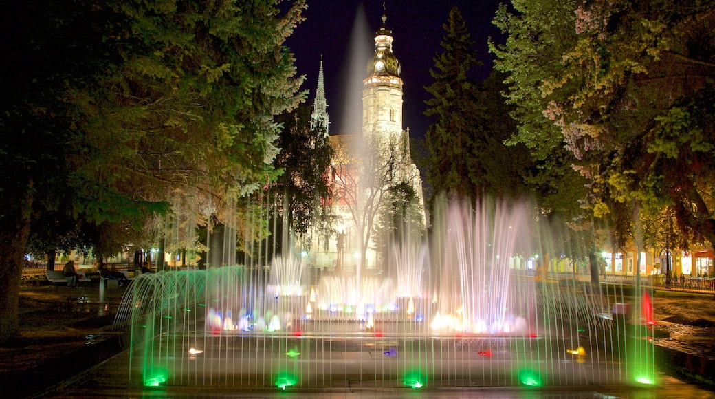 Kosice featuring a fountain, night scenes and a city