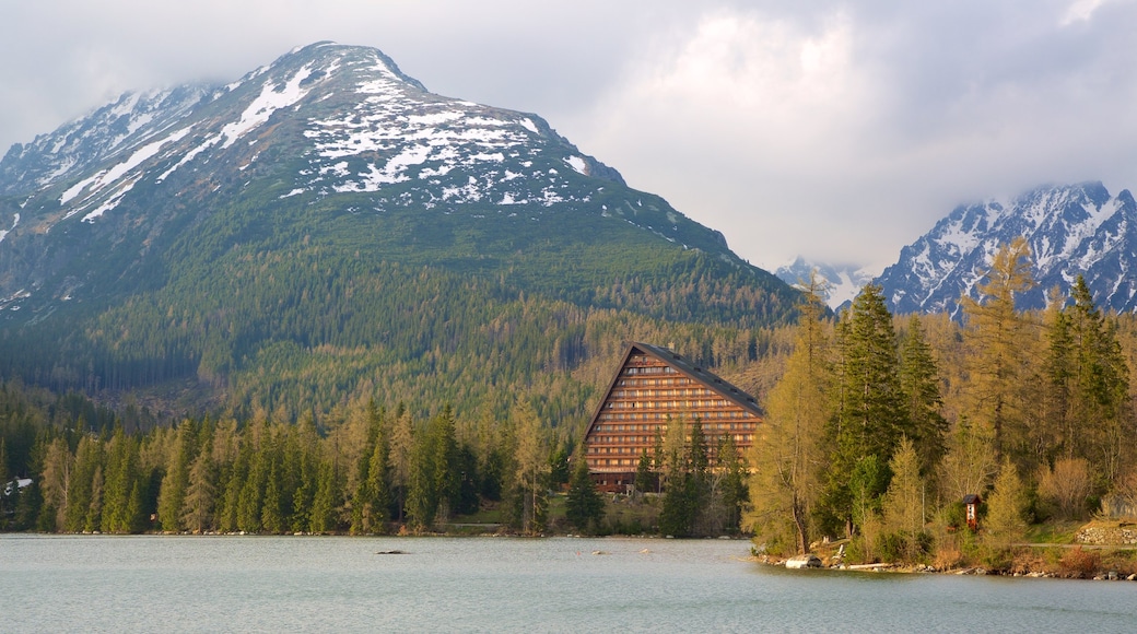 Štrbské Pleso das einen ruhige Szenerie, Berge und Waldmotive