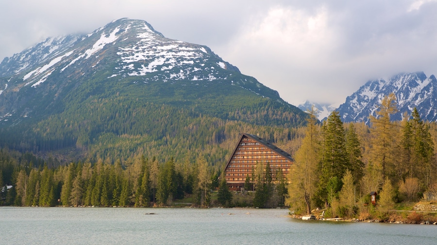 Strbske Pleso which includes tranquil scenes, forests and a lake or waterhole