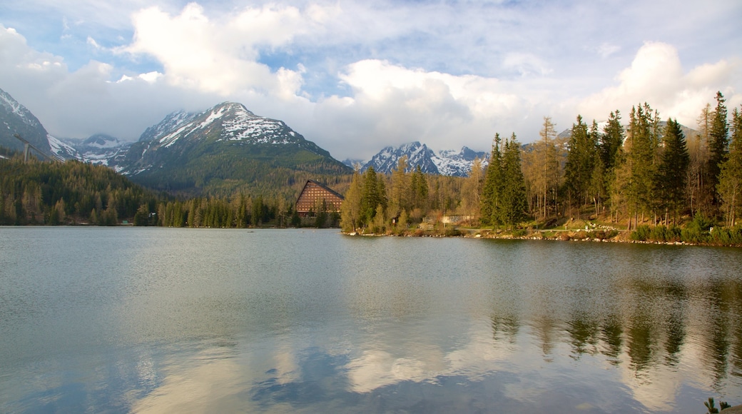 Eslovaquia mostrando un lago o abrevadero, escenas tranquilas y escenas forestales