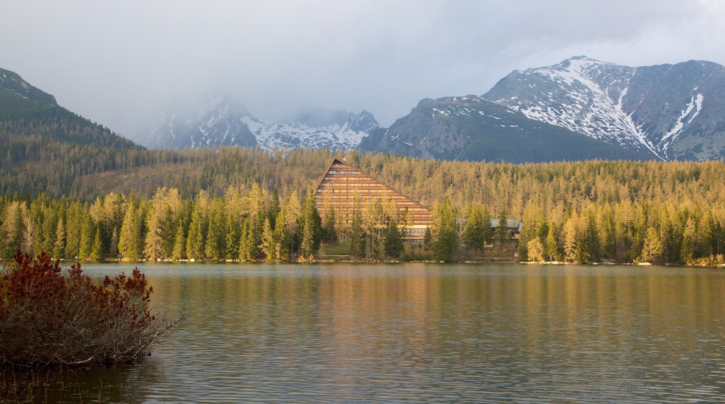 Štrbské Pleso das einen See oder Wasserstelle, Waldmotive und ruhige Szenerie